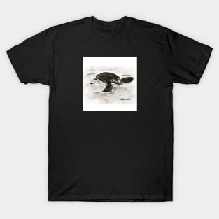 Baby Turtle T-Shirt